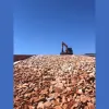 ABM Landscaping