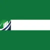 Main Street Financial Solutions