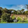 Gisborne Peak Winery