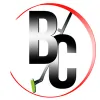 Best Carpet Cleaning Melbourne