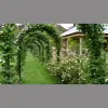 The Heritage Garden