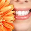 Airport Dental