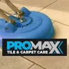 Promax Clean