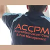 Carpet Cleaning Brisbane