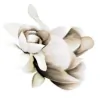 Moreton Bay Florist