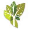 Accrue Life Assets