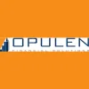 Opulen Financial Solutions