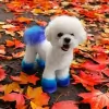 Divine Dog Grooming Salon