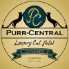 Purr-Central