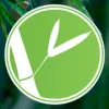 Bamboo Bits