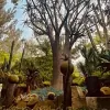 Roraima Nursery