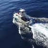 Sealord Charters
