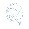 David Douglas Accountants