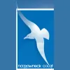 Narrowneck Court