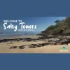 Salty Towers