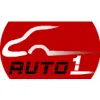 Auto1 Driving School