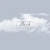 Bach Accountants & Business Advisers