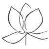 Waterlily Brow & Beauty Studio