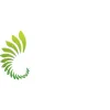 Suncoast Dental