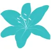 Cosmetic Refinement Clinic