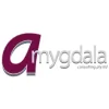 Amygdala Consulting