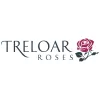 Treloar Roses
