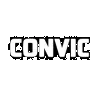Convic Skateparks