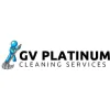 GV Platinum Cleaning