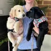 Waroona Veterinary Clinic