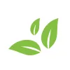 The Naturally Clean