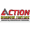 Action Window Tinting
