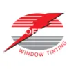 Tint Professionals