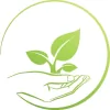 Elevate Acupuncture