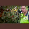 McPhees Gardening Services