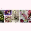 Litsa Flowers