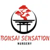 Bonsai Sensation