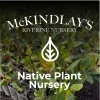 McKindlays Riverine Nursery