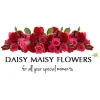 Daisy Maisy Flowers