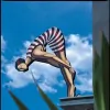 Dive Hotel