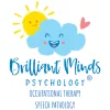 Brilliant Minds Psychology