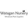 Watagan Nursery