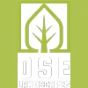 DSE Landscapes