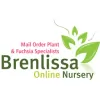 Brenlissa Online Nursery