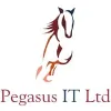 Pegasus IT Solutions