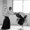 Shin Sen Dojo