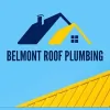 Belmont Roof Plumbing