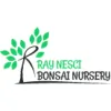 Bonsai Ray Nesci Nursery