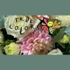True Colors Florist