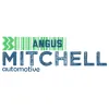 Mitchell Automotive