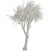 BIG4 Tweed Billabong